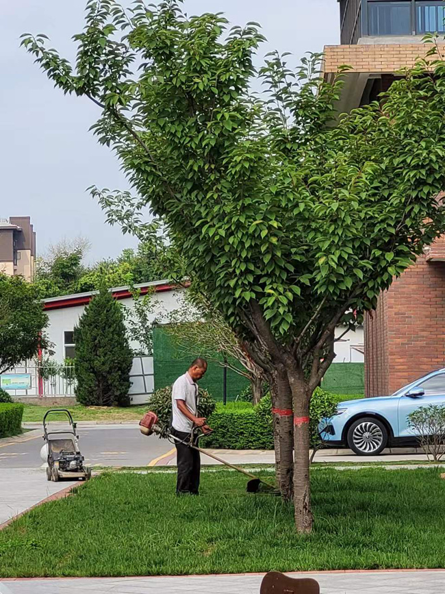 L(chng)ſƼa(chn)I(y)@