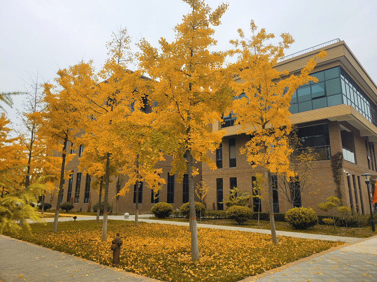 L(chng)ſƼa(chn)I(y)@