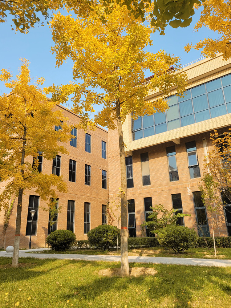 長(cháng)信科技產(chǎn)業(yè)園 長(cháng)信科技產(chǎn)業(yè)園