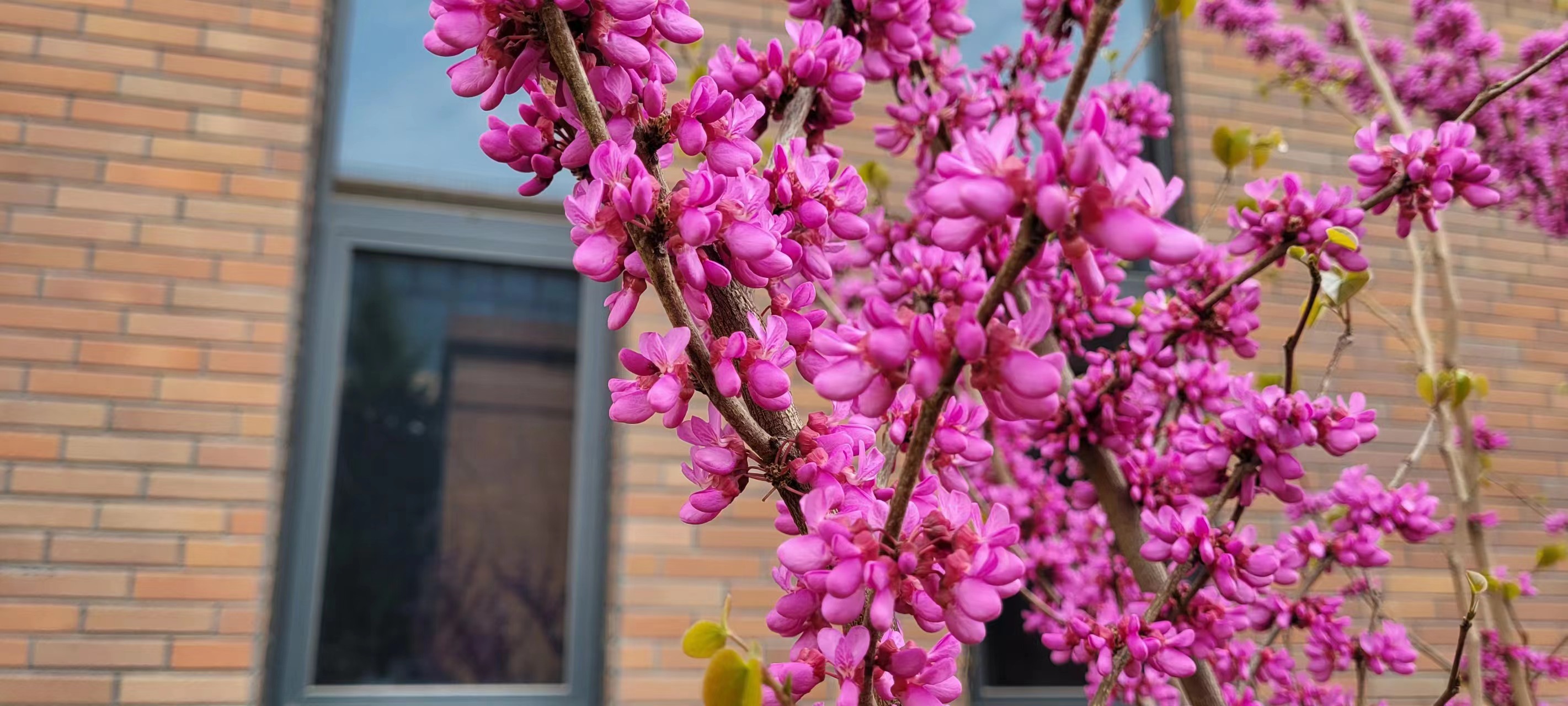 L(chng)ſƼa(chn)I(y)@