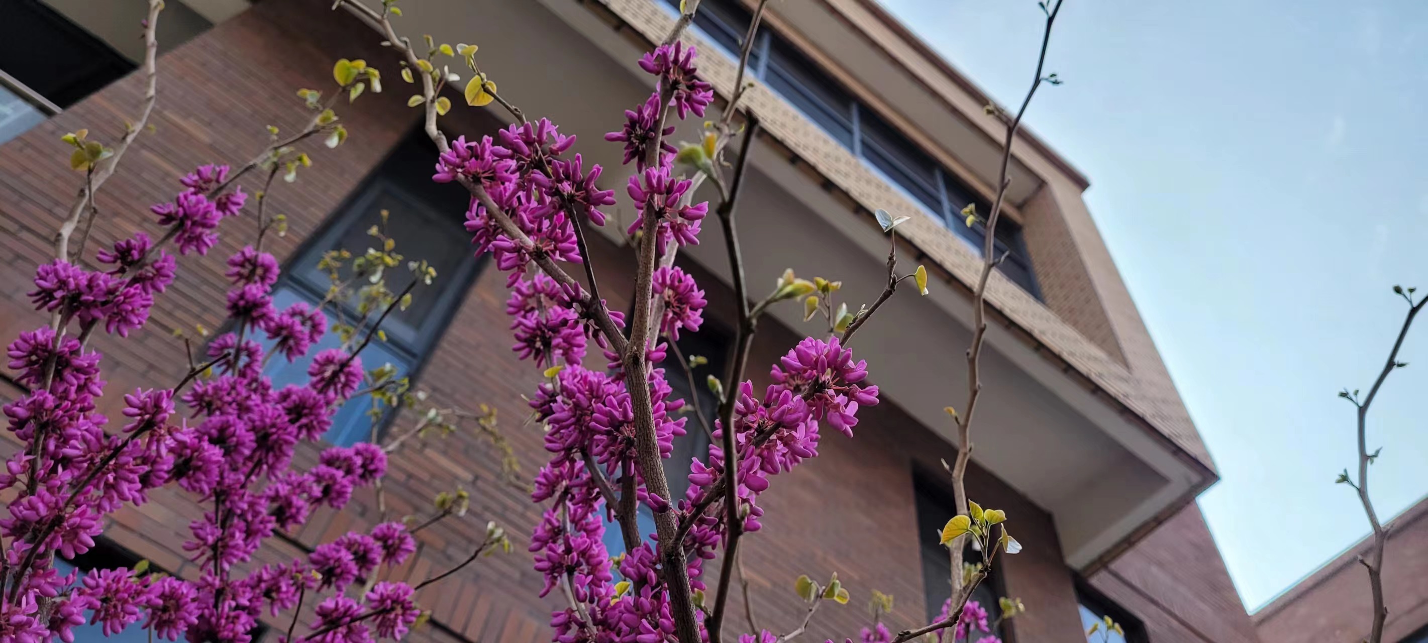 L(chng)ſƼa(chn)I(y)@