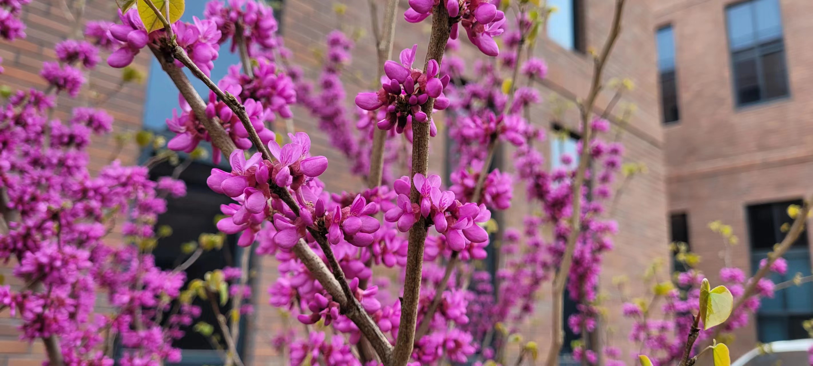 L(chng)ſƼa(chn)I(y)@