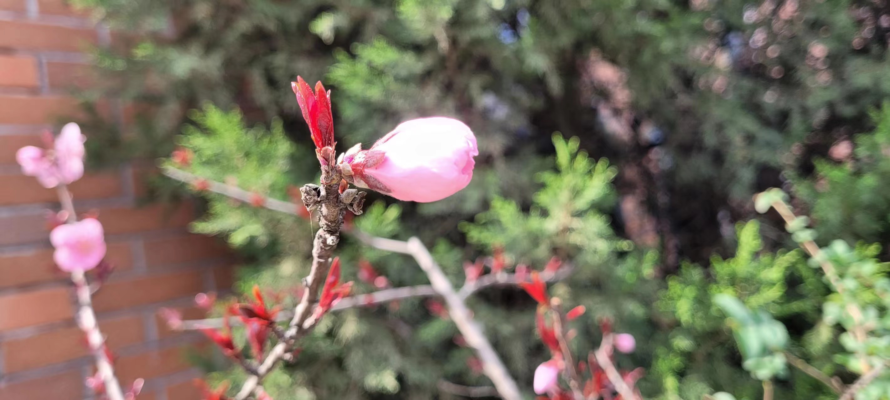 L(chng)ſƼa(chn)I(y)@