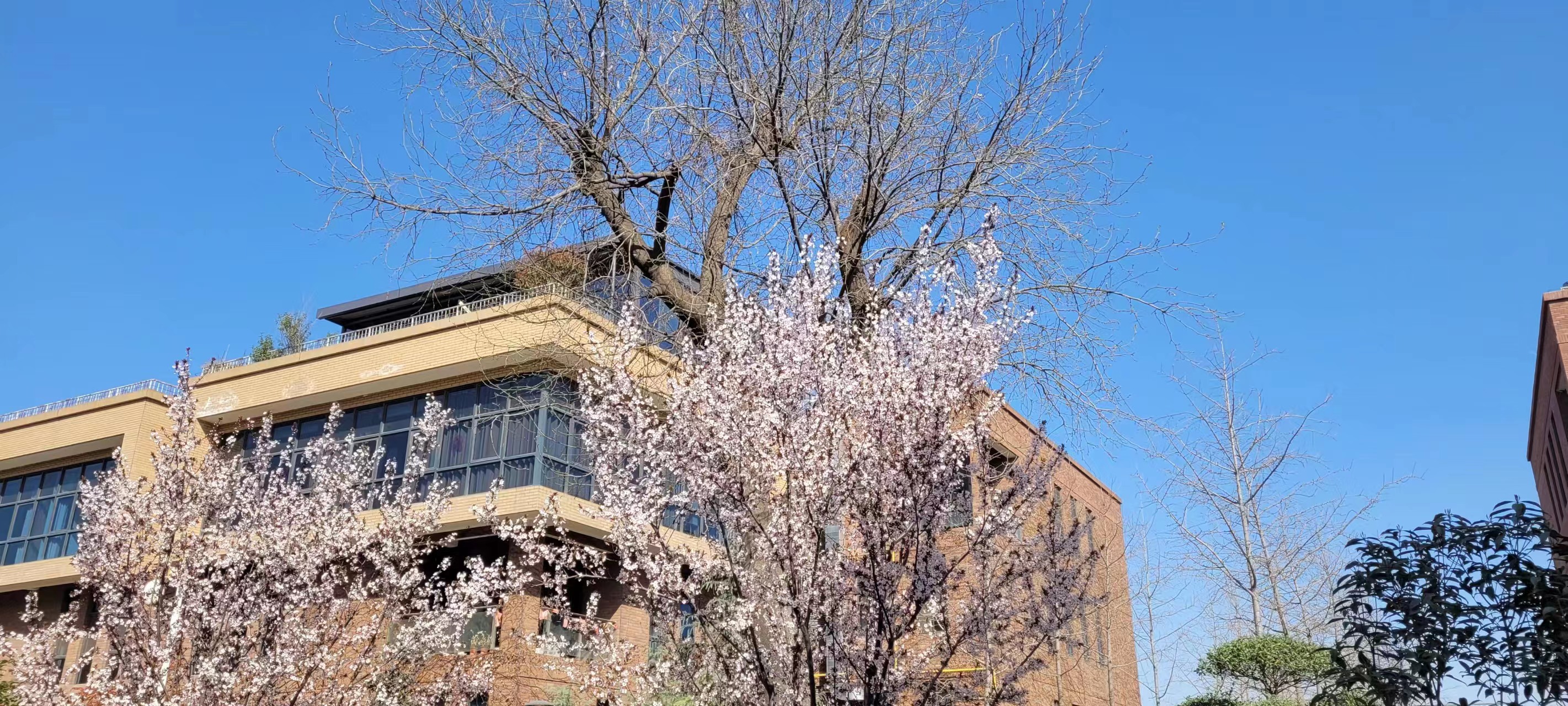 L(chng)ſƼa(chn)I(y)@