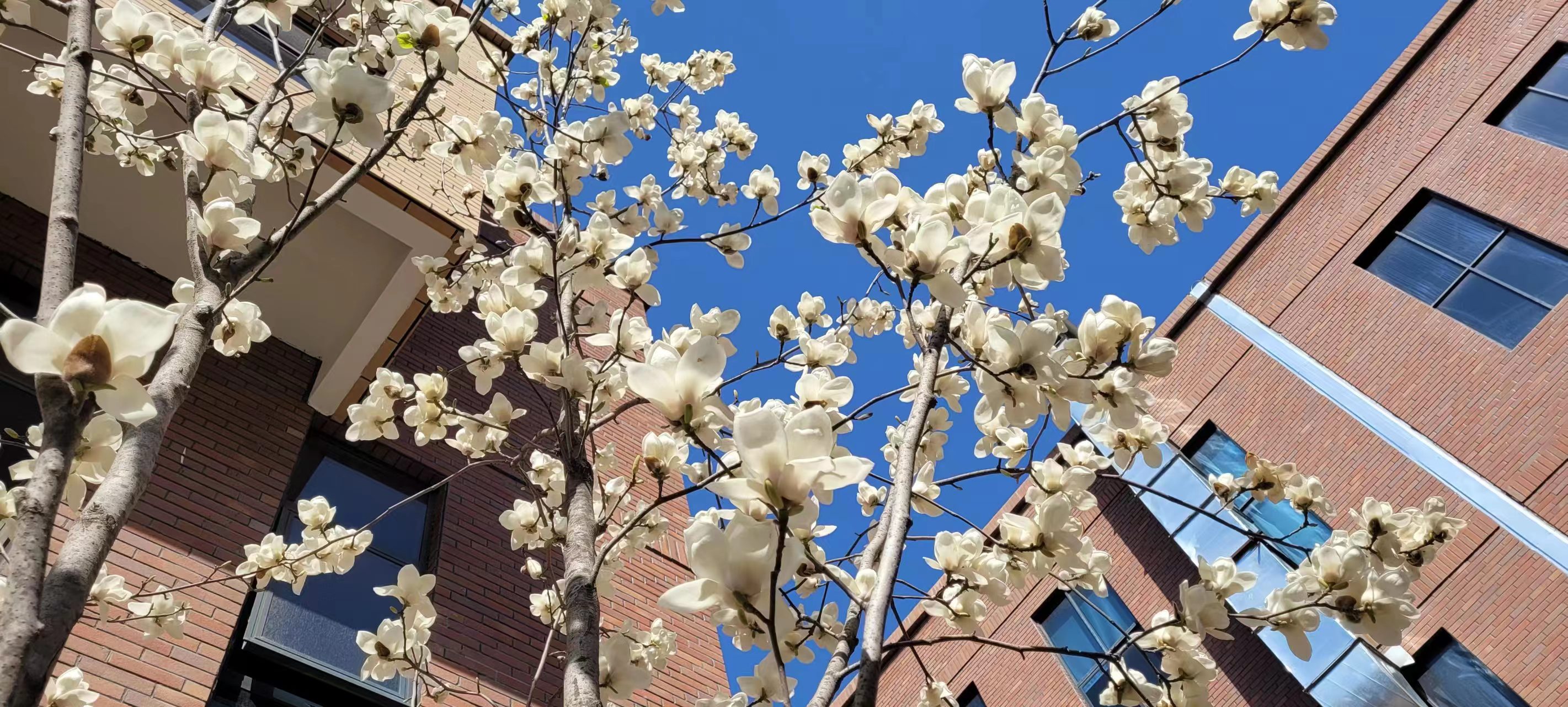 L(chng)ſƼa(chn)I(y)@