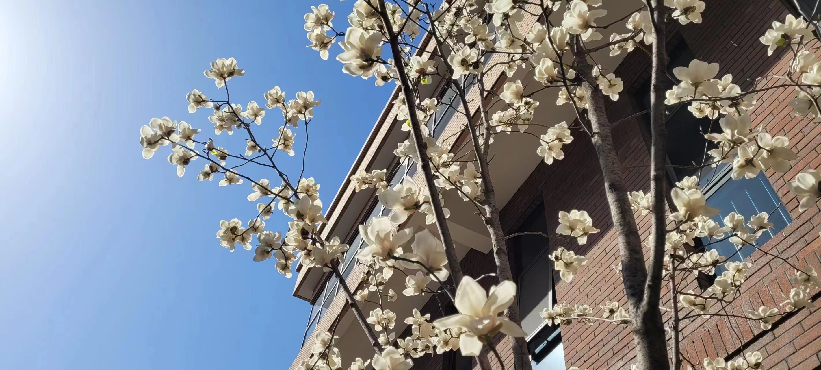 L(chng)ſƼa(chn)I(y)@