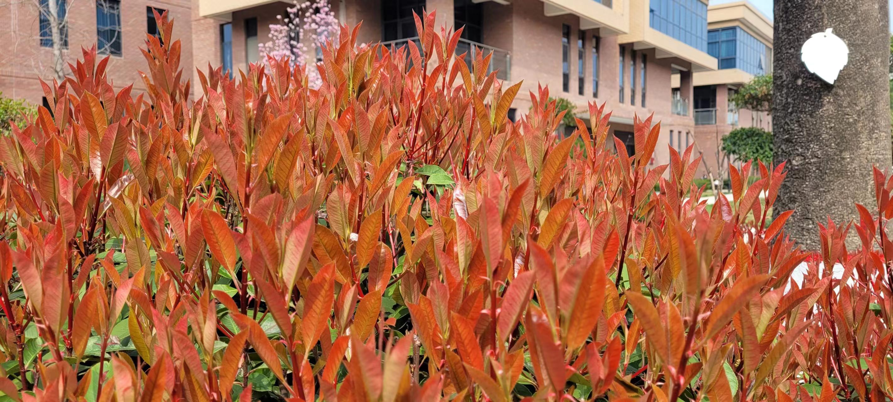 L(chng)ſƼa(chn)I(y)@