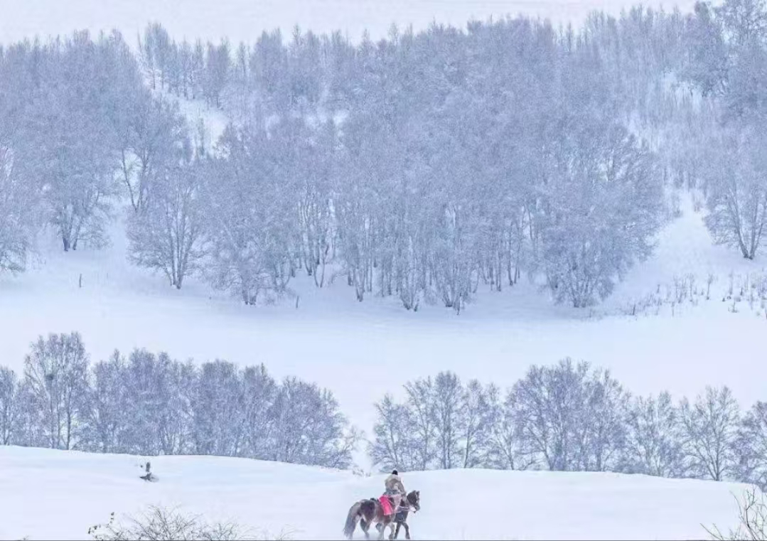 長(cháng)信科技產(chǎn)業(yè)園 長(cháng)信科技產(chǎn)業(yè)園