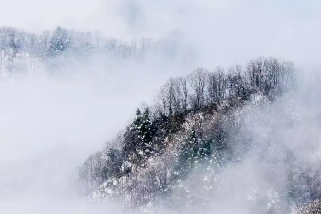 長(cháng)信科技產(chǎn)業(yè)園 長(cháng)信科技產(chǎn)業(yè)園