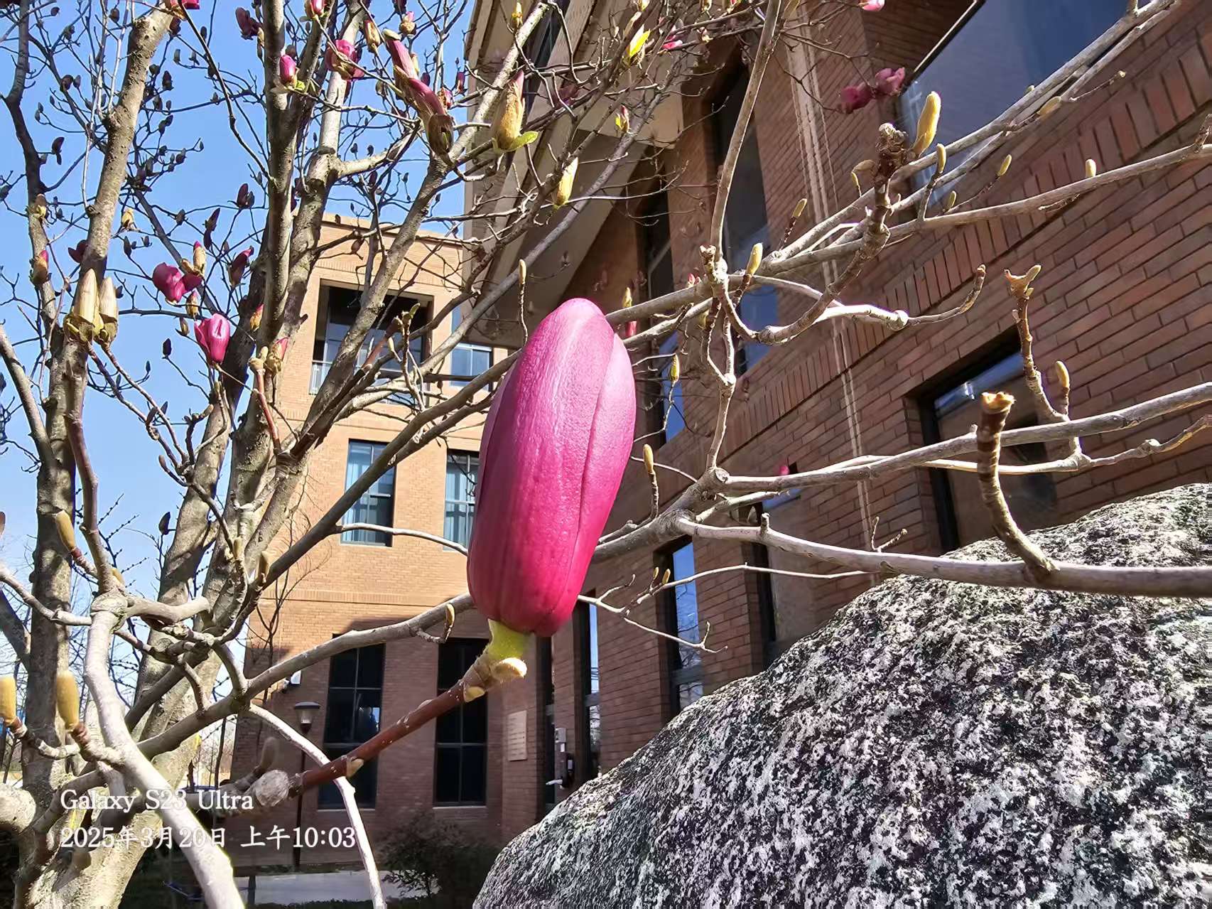 長(cháng)信科技產(chǎn)業(yè)園 長(cháng)信科技產(chǎn)業(yè)園